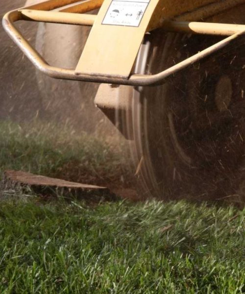 Stump Removal Sarasota